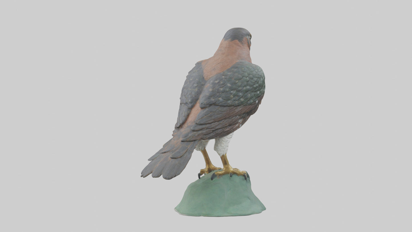 Eurasian Sparrowhawk statue model VR / AR / low-poly