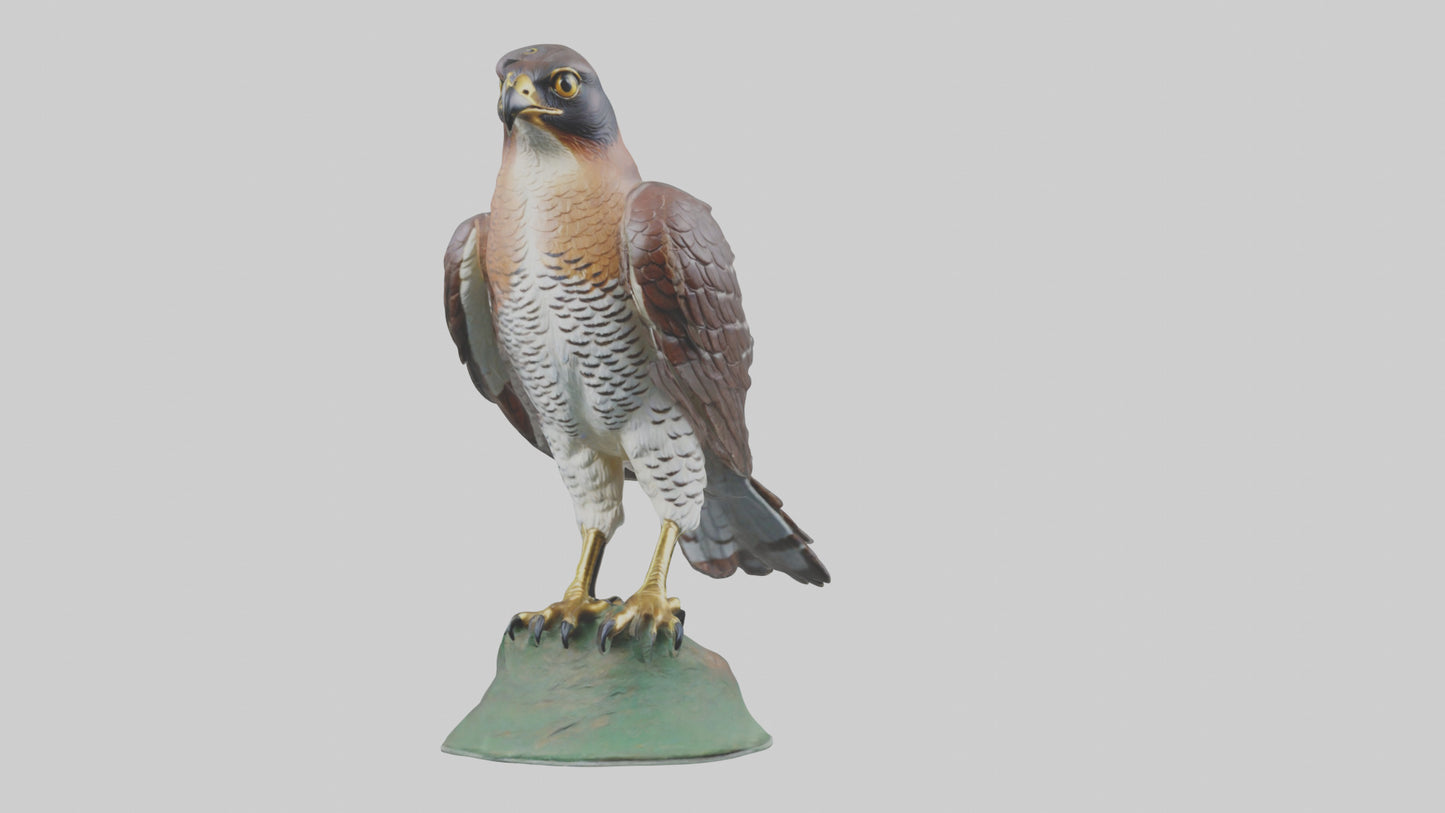 Eurasian Sparrowhawk statue model VR / AR / low-poly