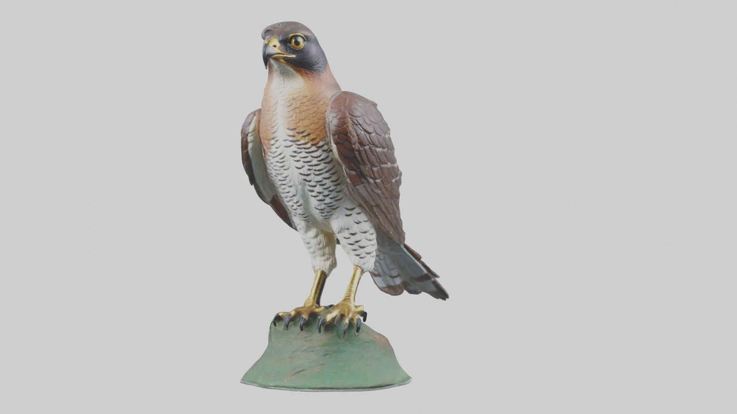 Eurasian Sparrowhawk statue model VR / AR / low-poly