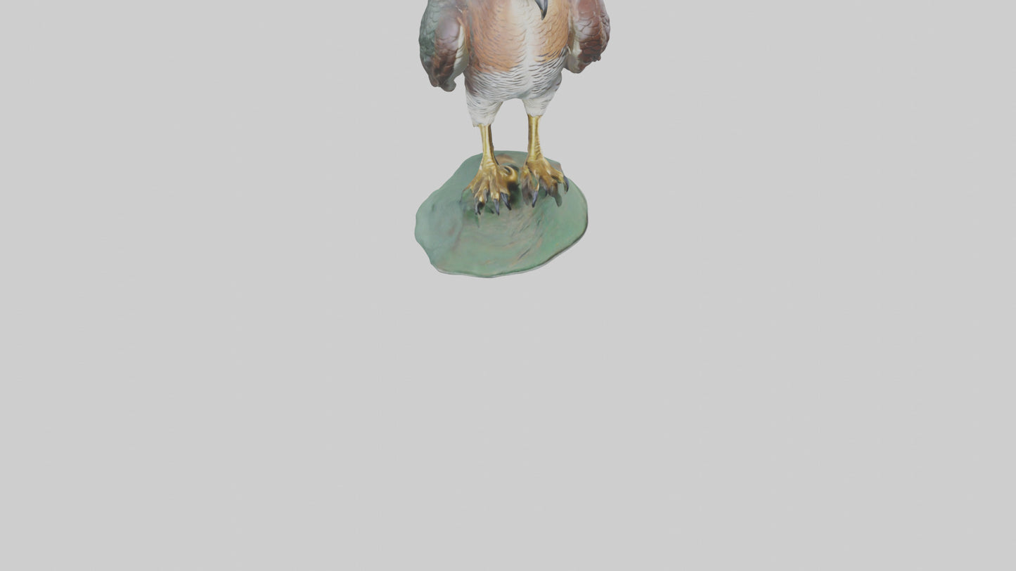 Eurasian Sparrowhawk statue model VR / AR / low-poly