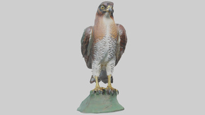 Eurasian Sparrowhawk statue model VR / AR / low-poly