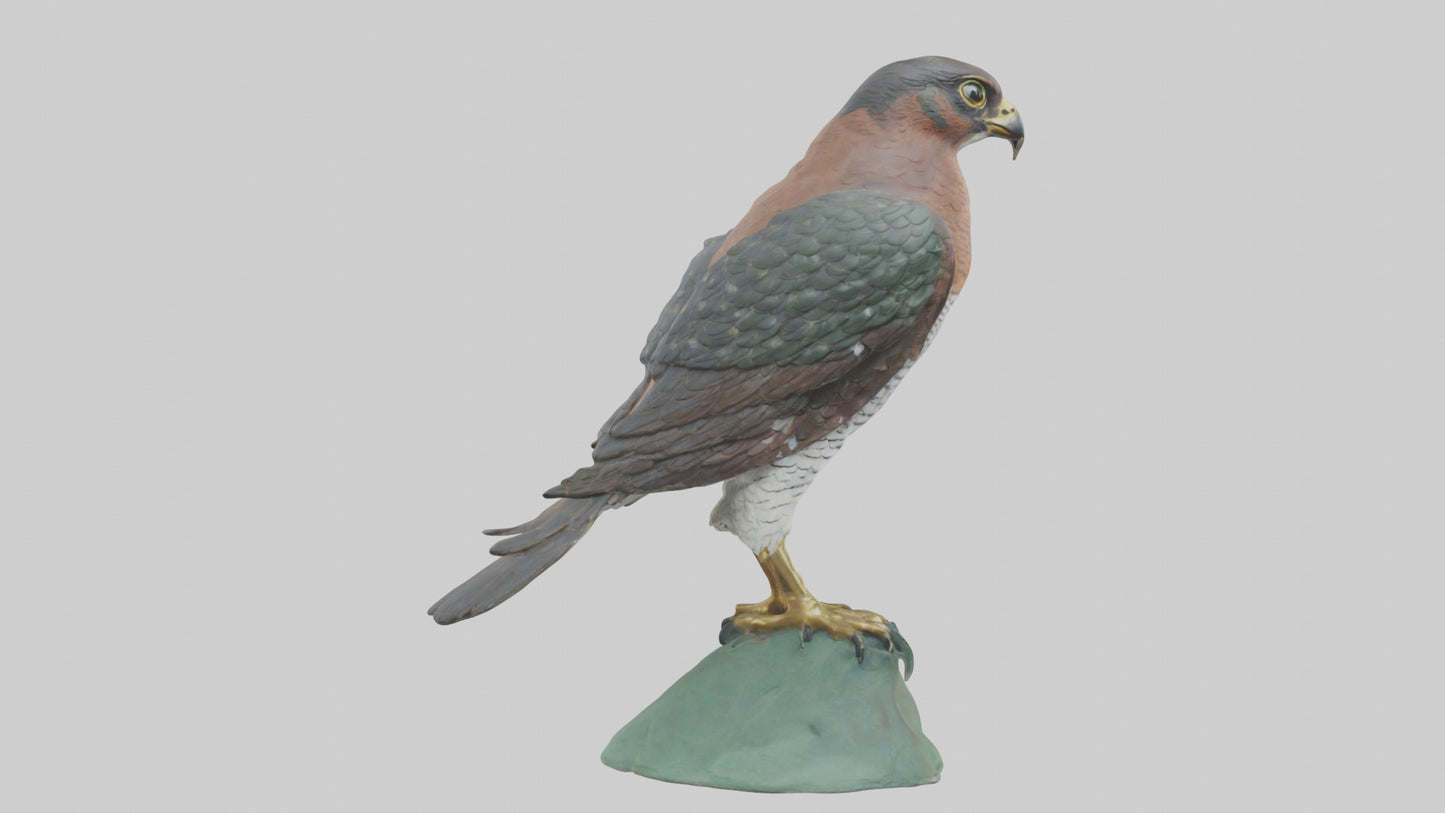 Eurasian Sparrowhawk statue model VR / AR / low-poly