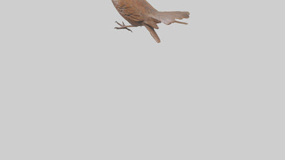 Eurasian Wren statue model VR / AR / low-poly