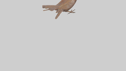 Eurasian Wren statue model VR / AR / low-poly