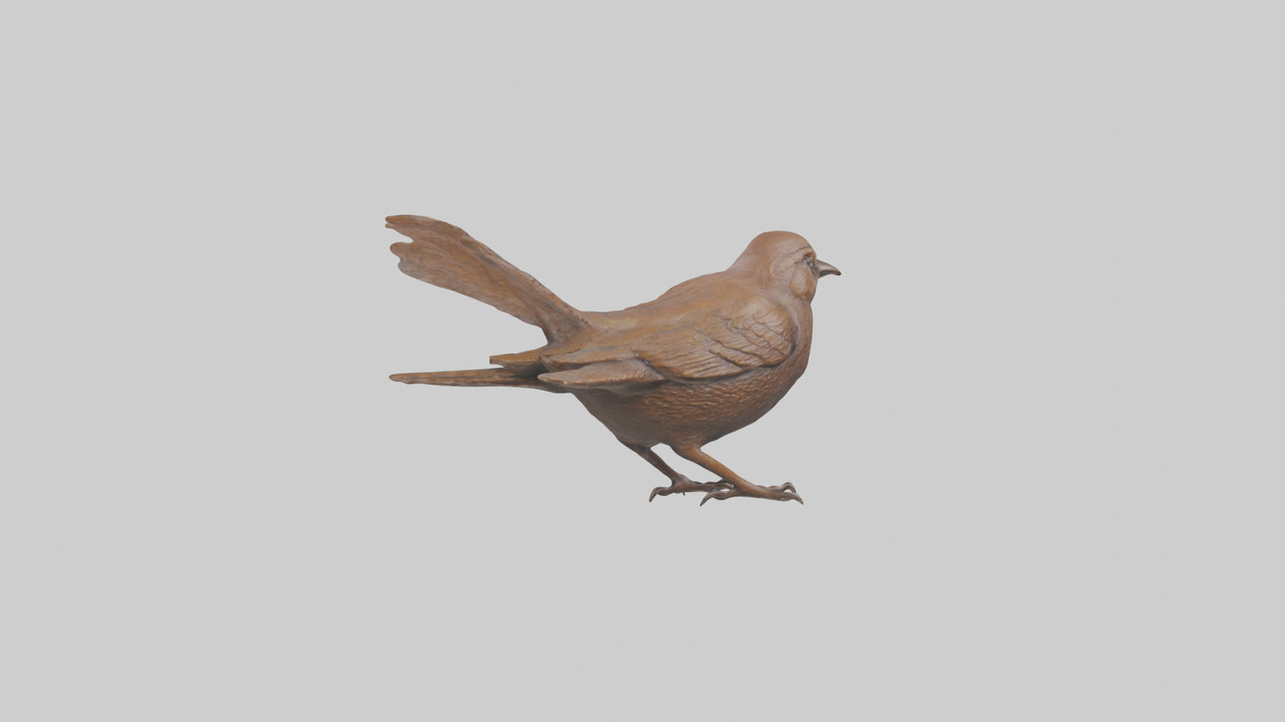 Eurasian Wren statue model VR / AR / low-poly