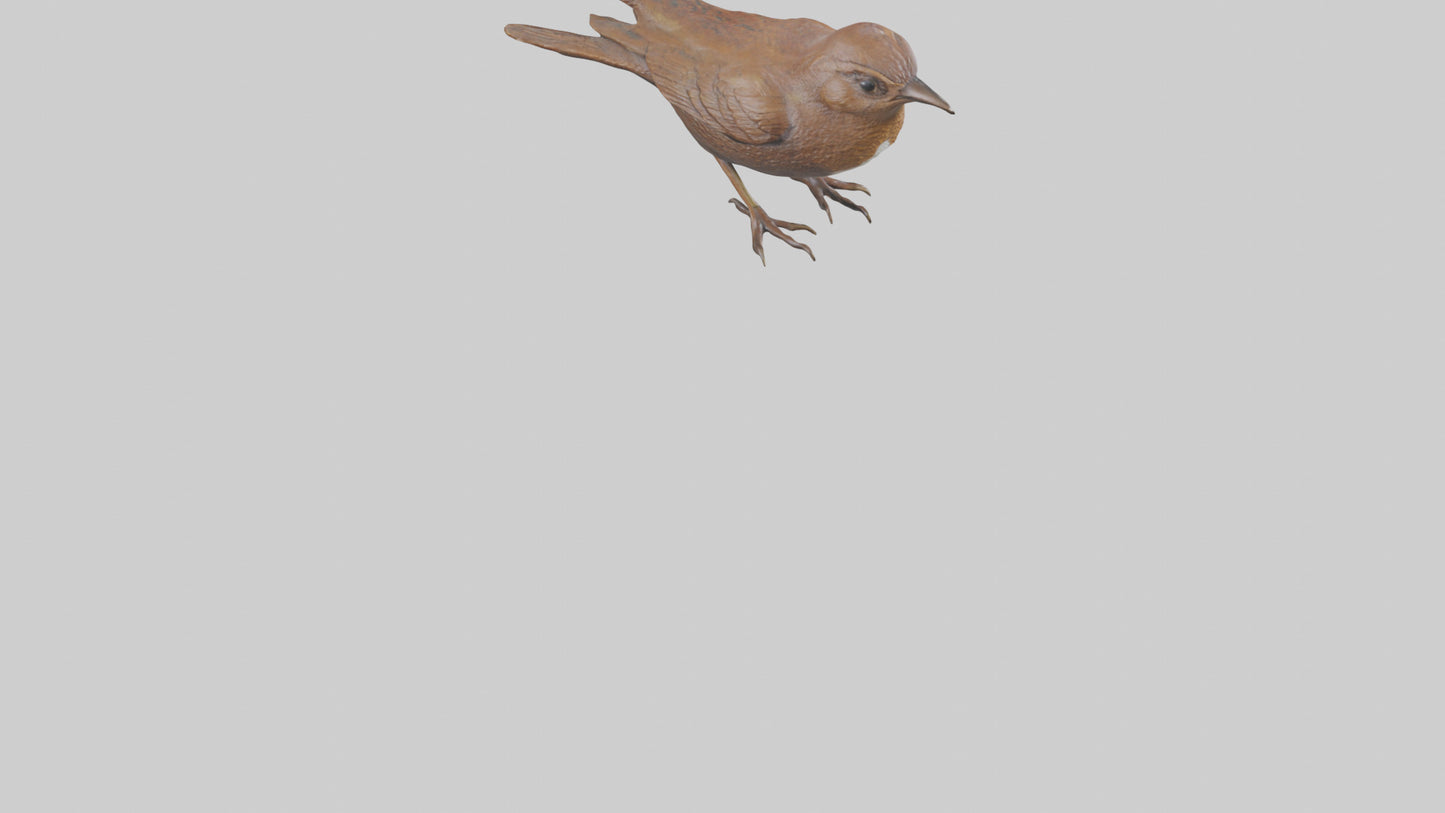 Eurasian Wren statue model VR / AR / low-poly