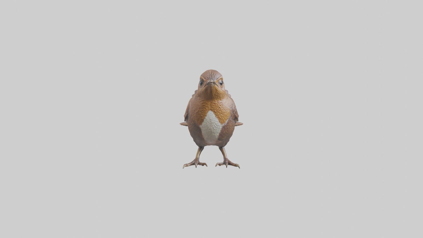 Eurasian Wren statue model VR / AR / low-poly
