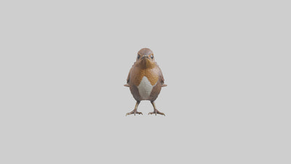 Eurasian Wren statue model VR / AR / low-poly