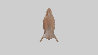 Eurasian Wren statue model VR / AR / low-poly