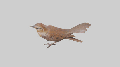 Eurasian Wren statue model VR / AR / low-poly