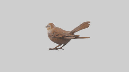 Eurasian Wren statue model VR / AR / low-poly