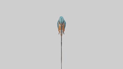 European Kingfisher perched model 3D model
