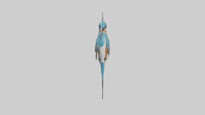 European Kingfisher perched model 3D model