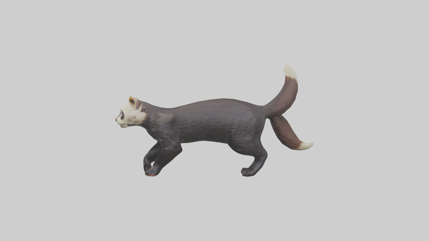 European Polecat hunting model 3D model