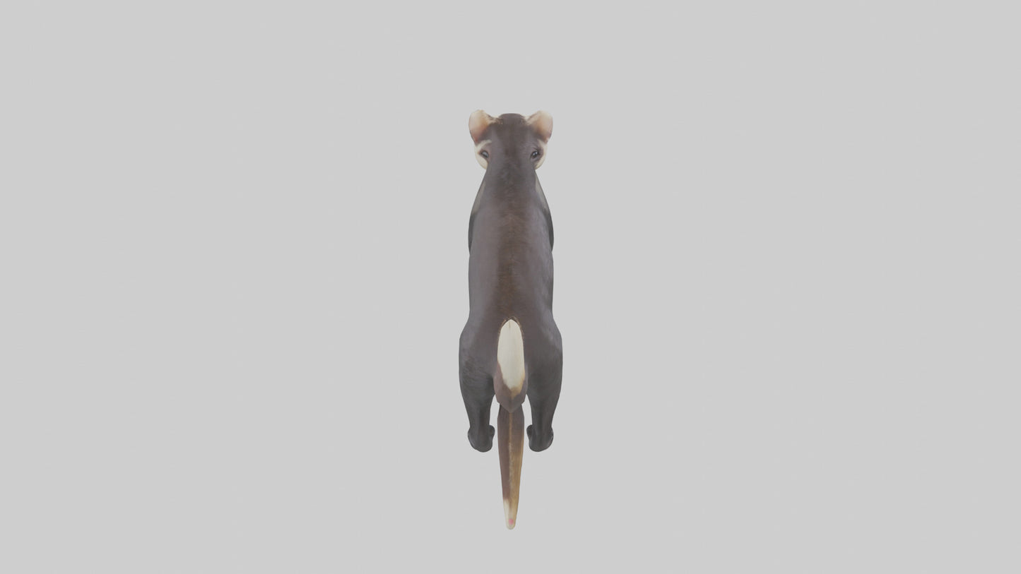 European Polecat hunting model 3D model