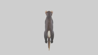 European Polecat hunting model 3D model