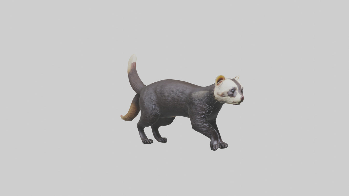 European Polecat hunting model 3D model