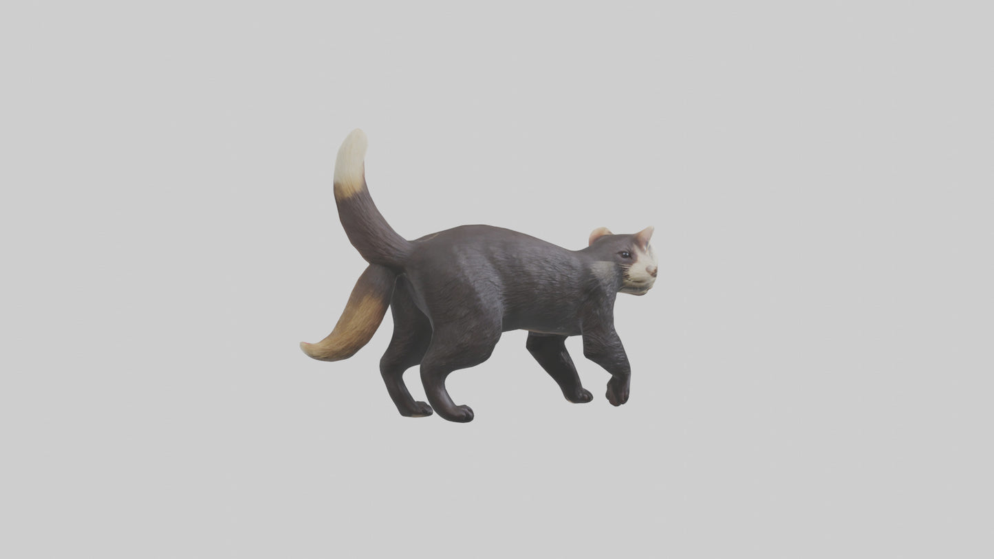 European Polecat hunting model 3D model