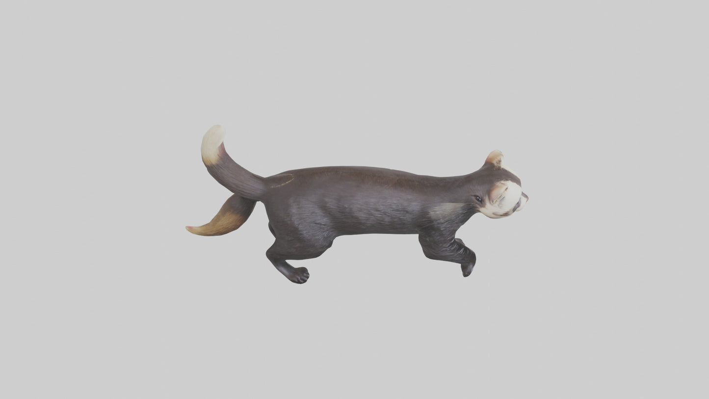 European Polecat hunting model 3D model