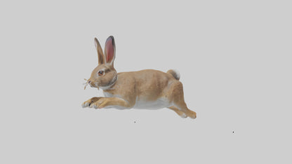 European Rabbit hopping model 3D model