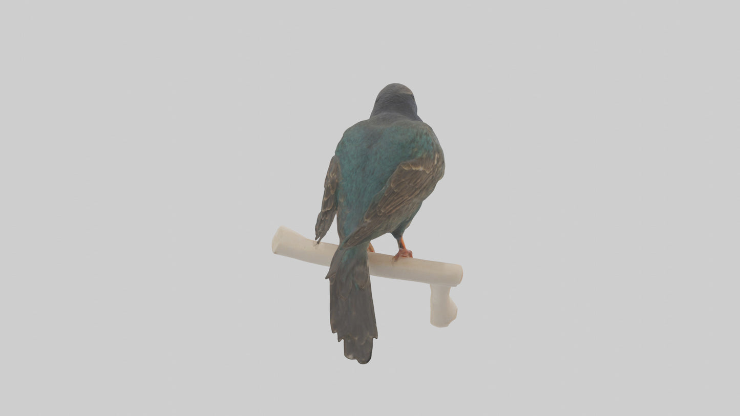 European Starling perched model 3D model