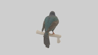 European Starling perched model 3D model