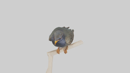 European Starling perched model 3D model