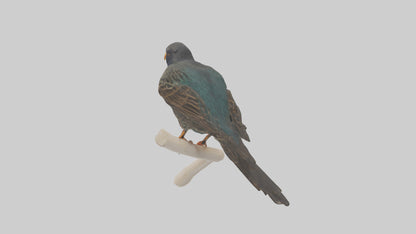 European Starling perched model 3D model
