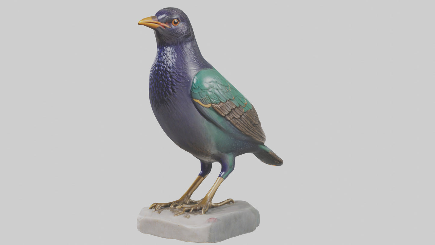 European Starling statue model 3D model