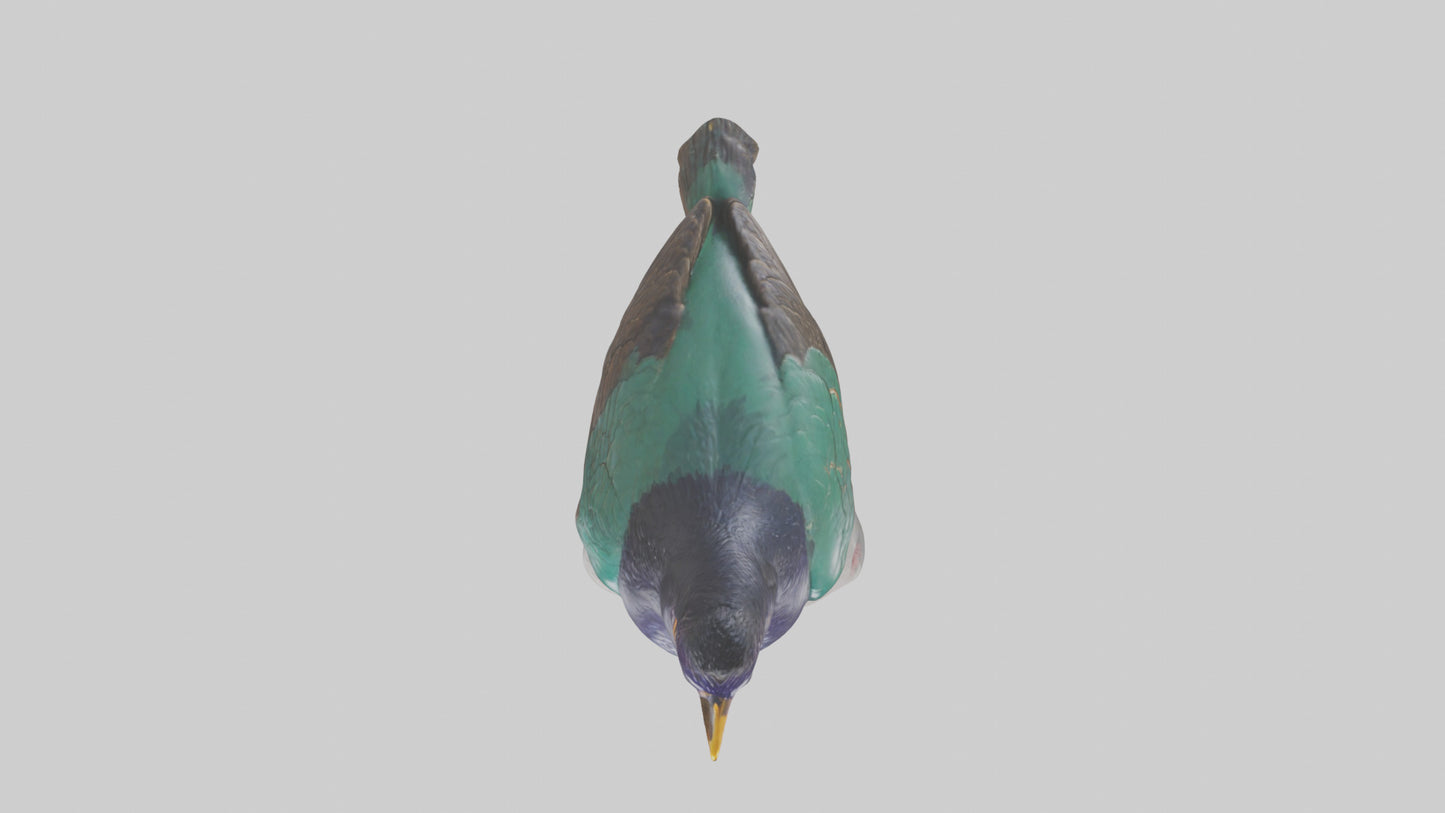 European Starling statue model 3D model