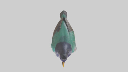 European Starling statue model 3D model