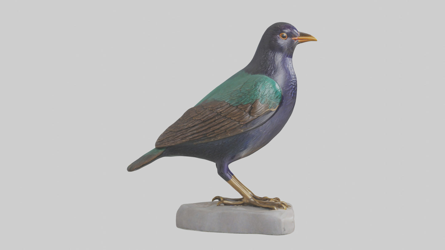 European Starling statue model 3D model