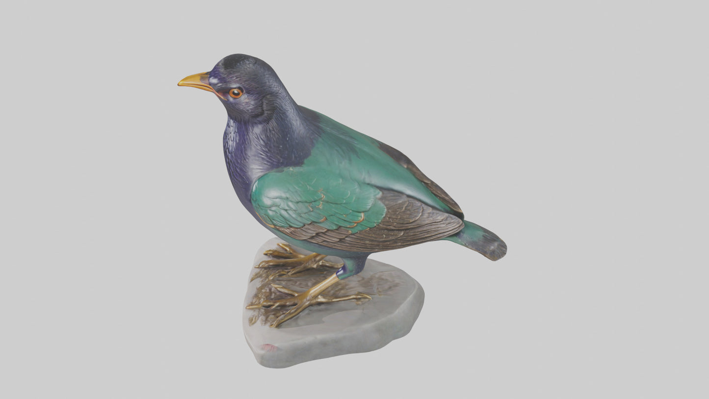 European Starling statue model 3D model