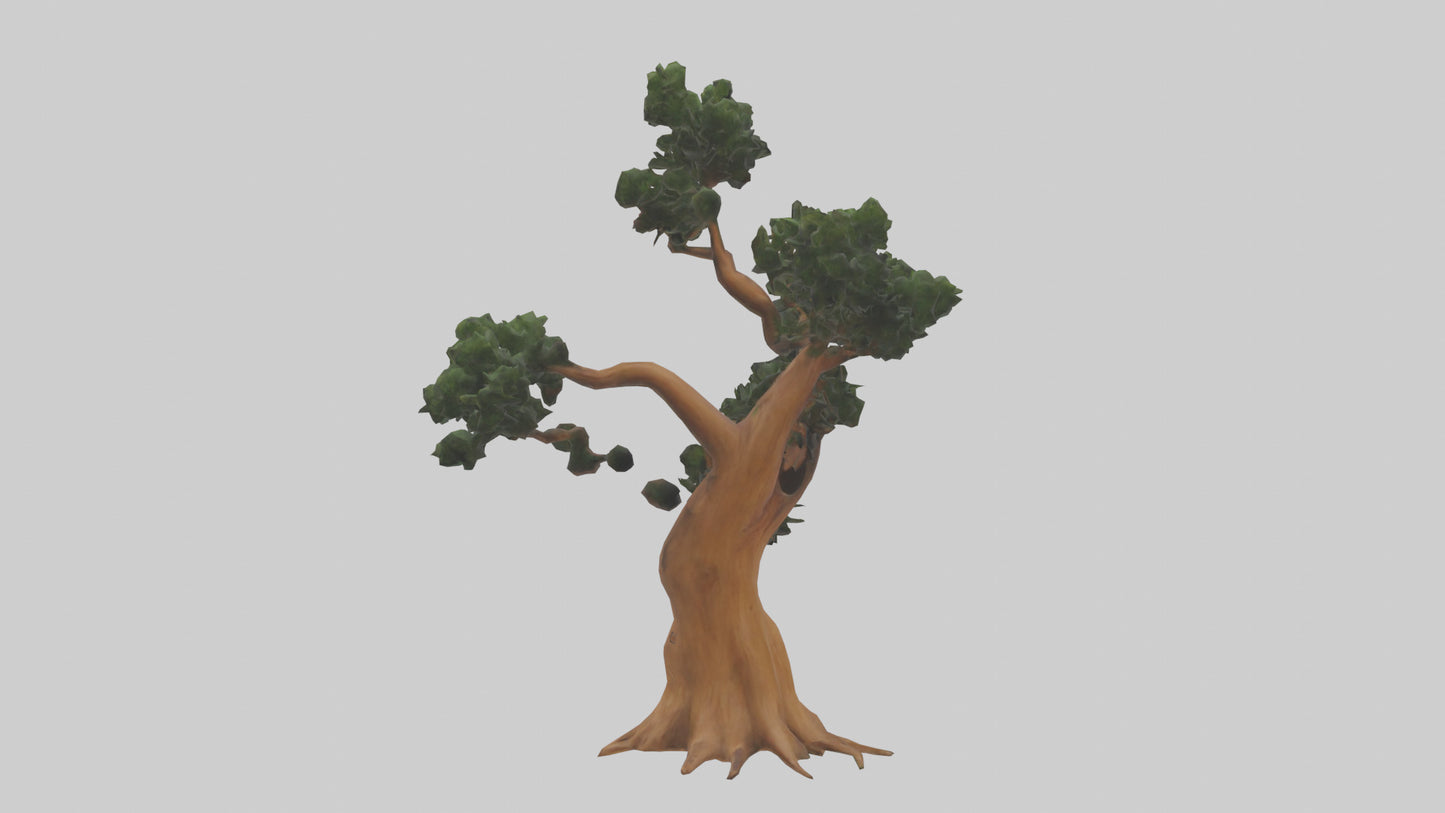 European Yew tree model 3D model