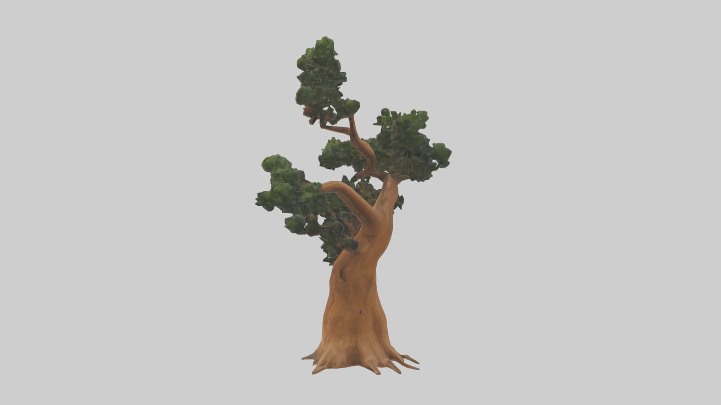 European Yew tree model 3D model