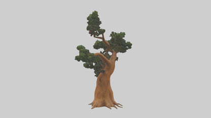 European Yew tree model 3D model