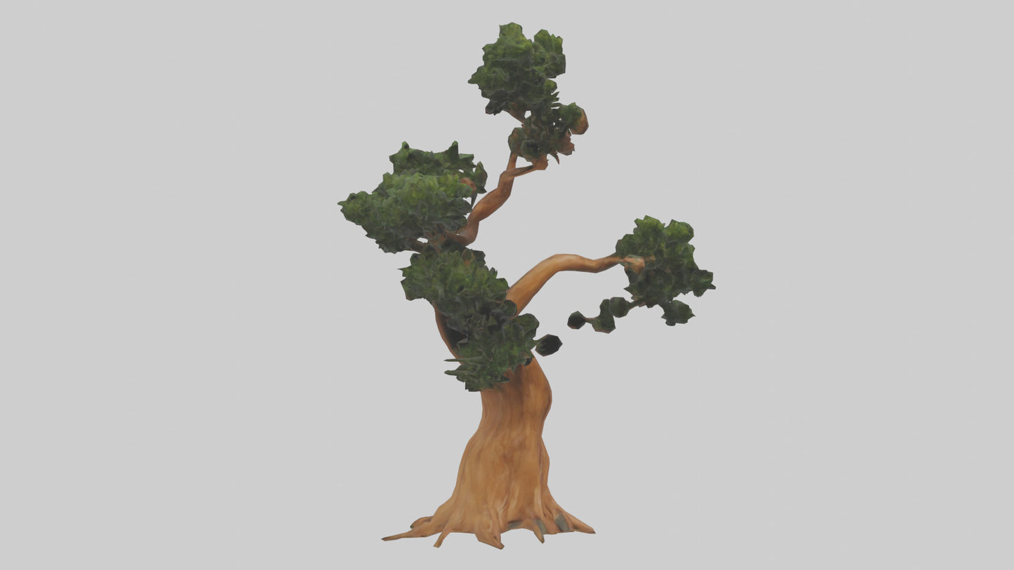 European Yew tree model 3D model