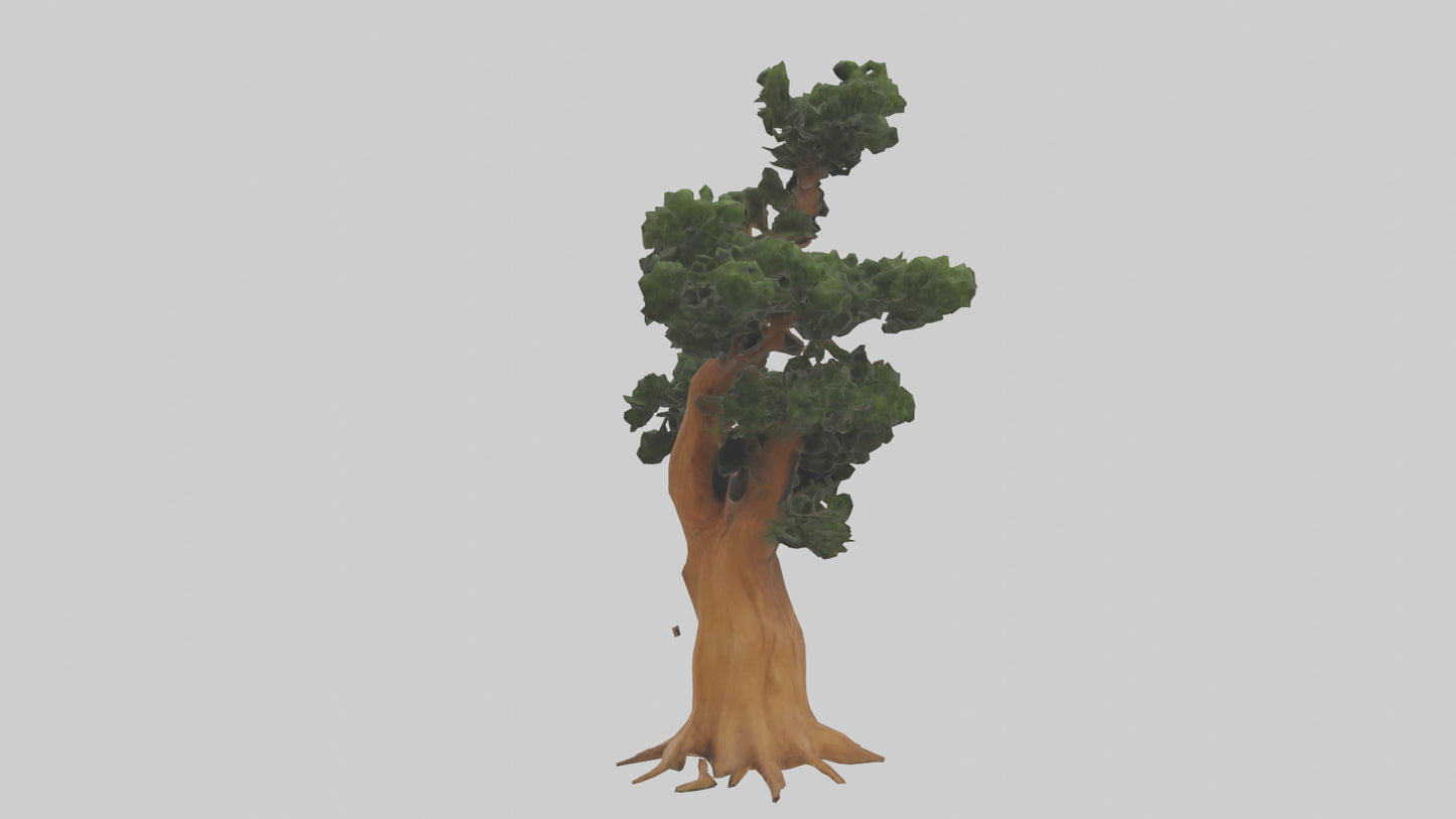 European Yew tree model 3D model