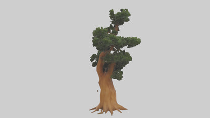 European Yew tree model 3D model