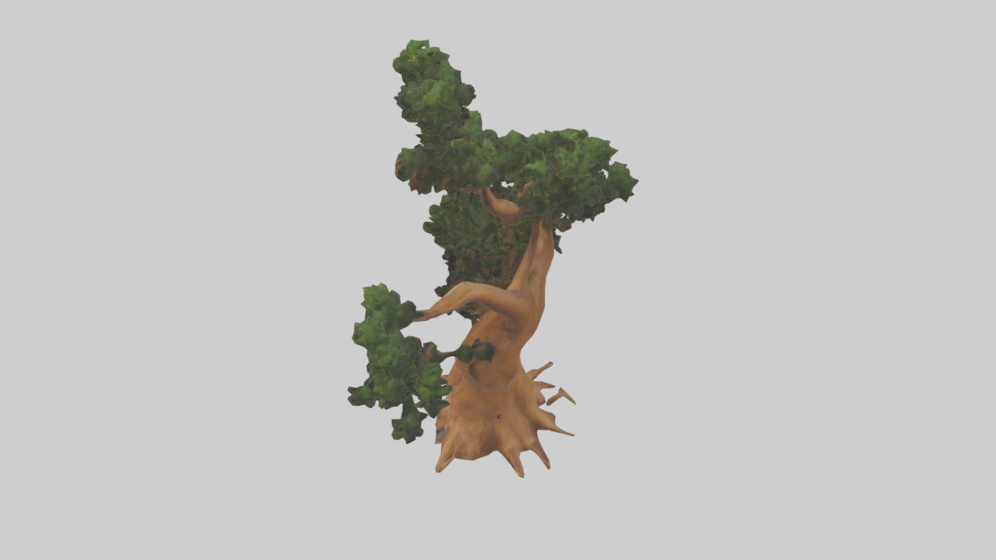 European Yew tree model 3D model