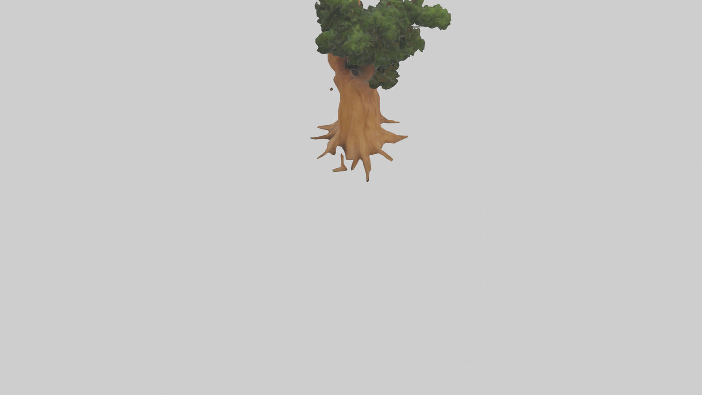 European Yew tree model 3D model