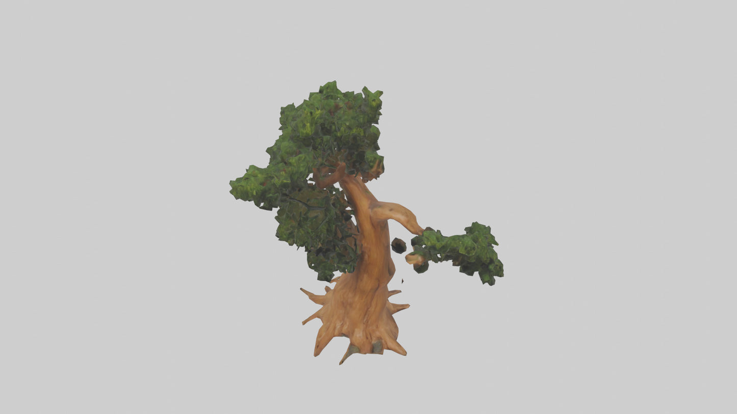 European Yew tree model 3D model