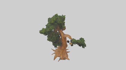 European Yew tree model 3D model