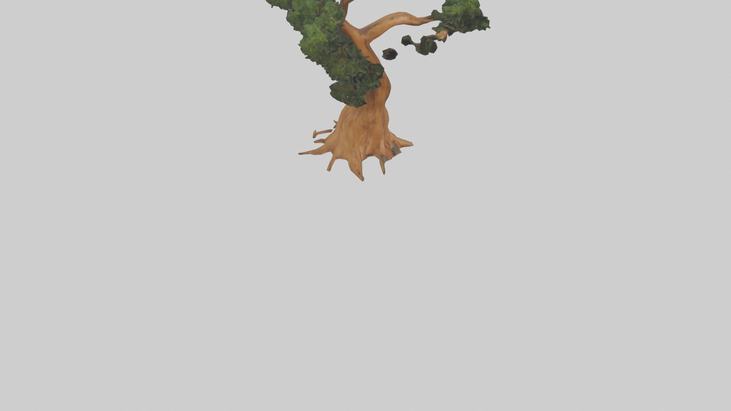 European Yew tree model 3D model