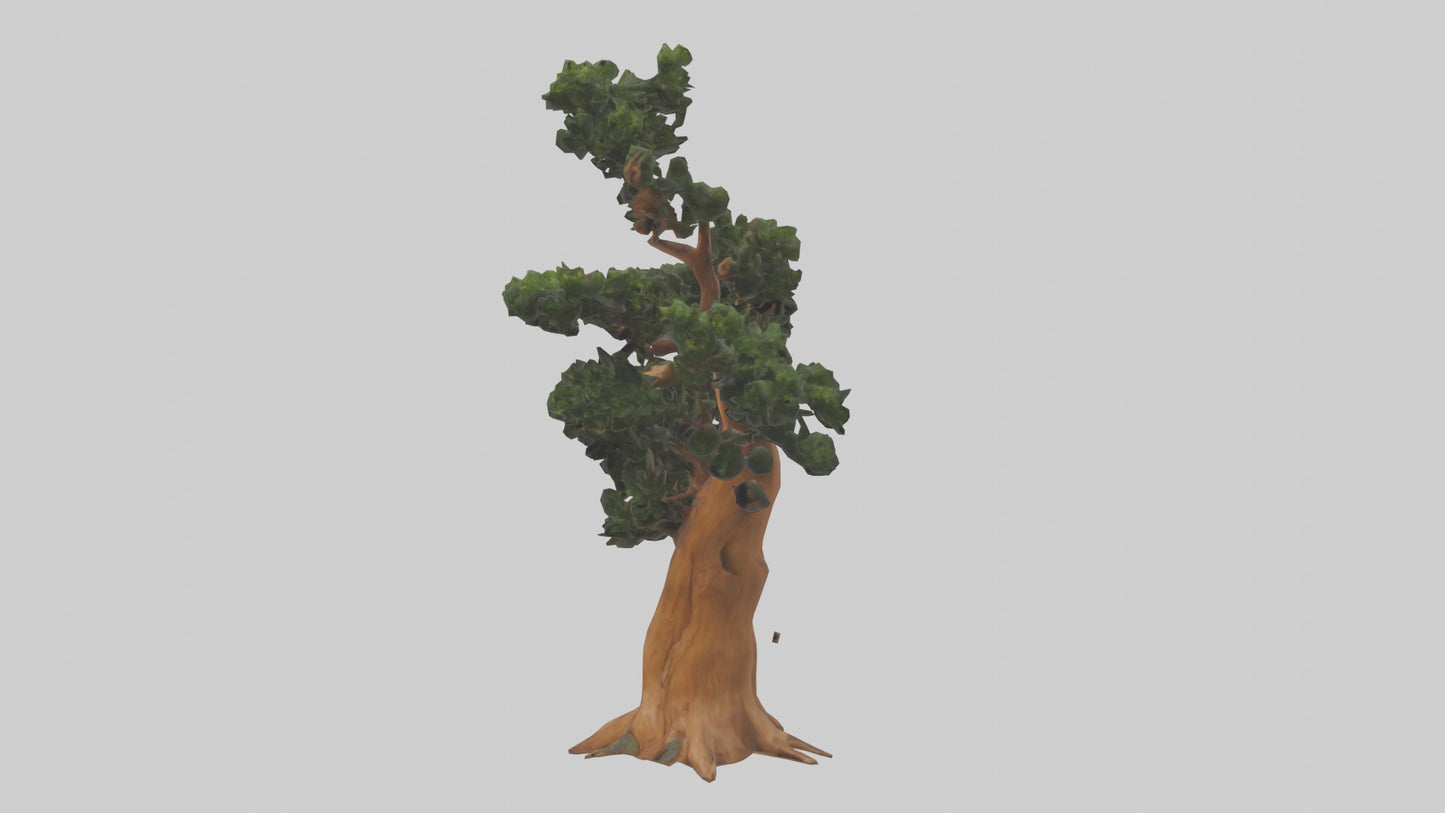 European Yew tree model 3D model