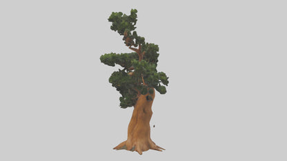 European Yew tree model 3D model