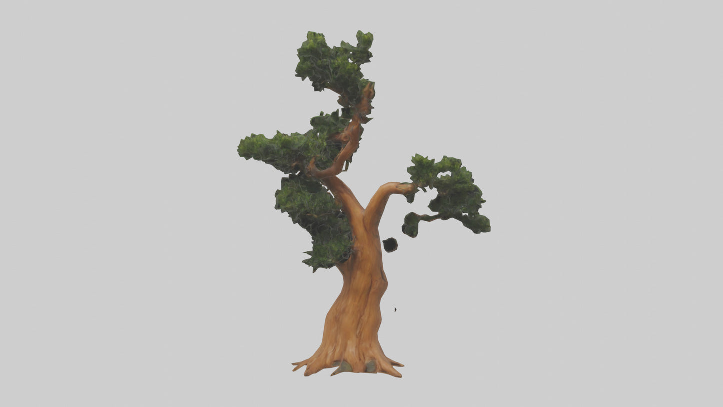 European Yew tree model 3D model