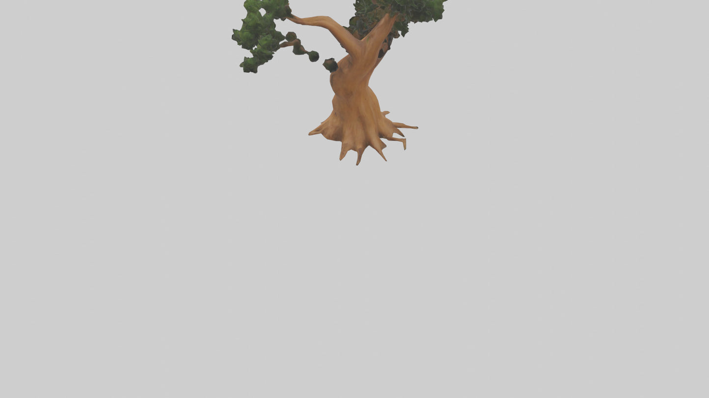 European Yew tree model 3D model