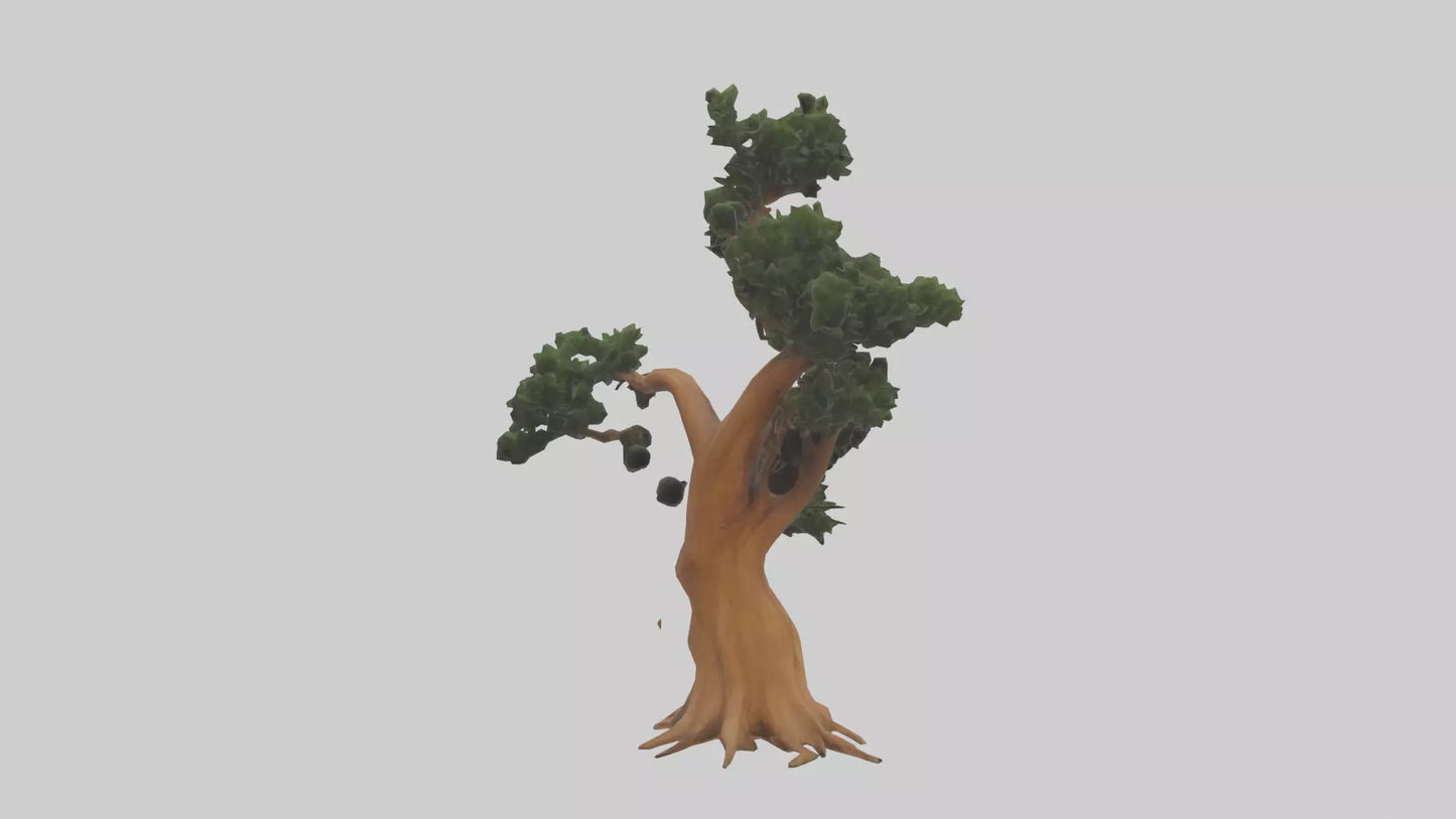 European Yew tree model 3D model