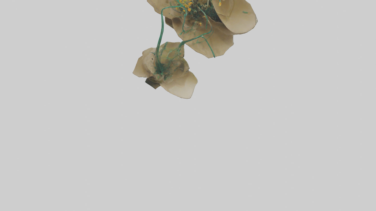 EverGrowing Flower Sculpture model 3D model